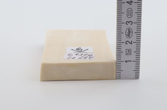 White mammoth ivory segment