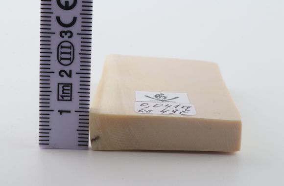 White mammoth ivory segment