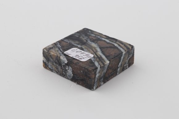 Stabilised mammoth molar piece 