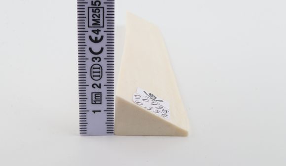 White mammoth ivory piece