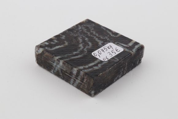 Stabilized mammoth molar piece