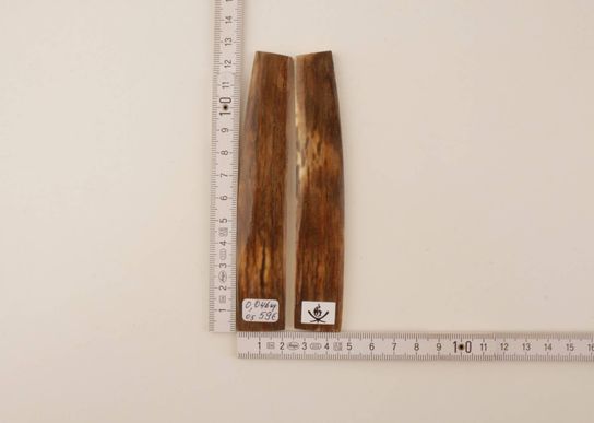 Natural mammoth bark scales