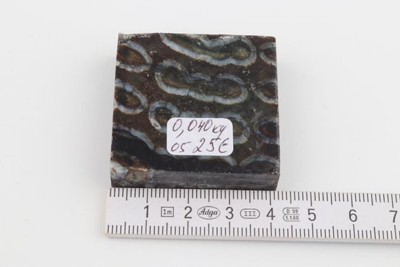 Stabilised mammoth molar piece