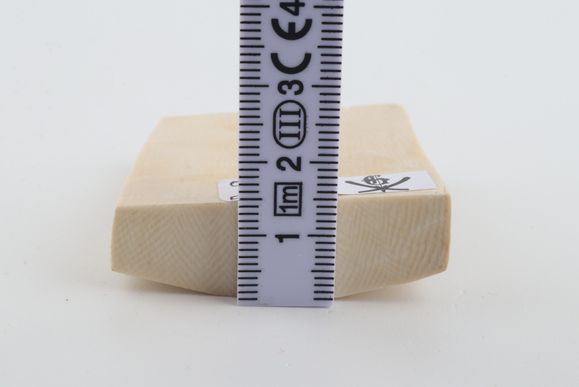 White mammoth ivory segment