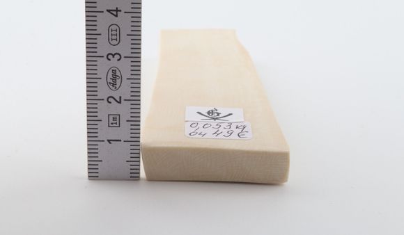 White mammoth ivory segment