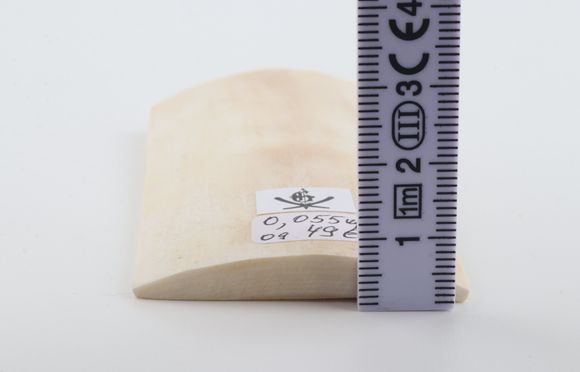 White mammoth ivory piece