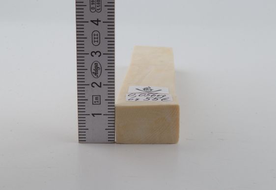 White mammoth ivory segment