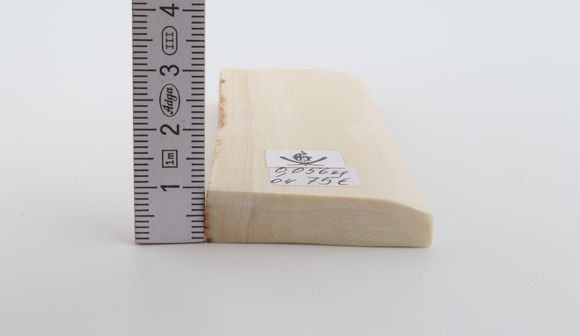 White mammoth ivory segment