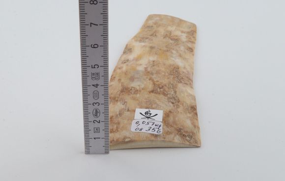 Creme mammoth bark