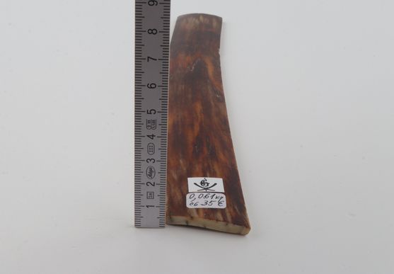 Brown mammoth bark