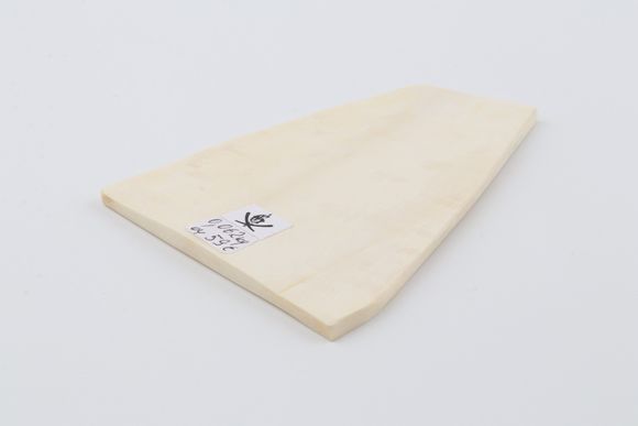 White mammoth ivory segment