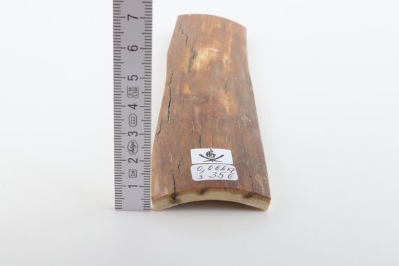 Brown-caramel mammoth bark