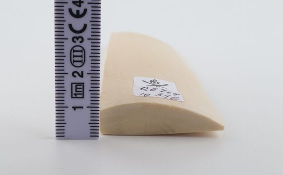 White mammoth ivory piece