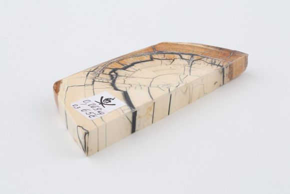 Stabilised mammoth ivory piece