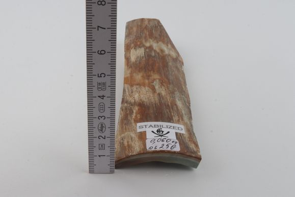 Stabilised mammoth bark 