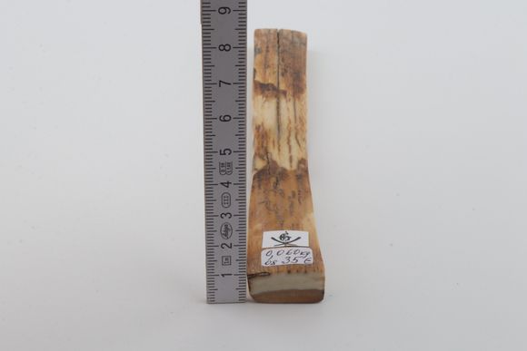 Orange mammoth bark