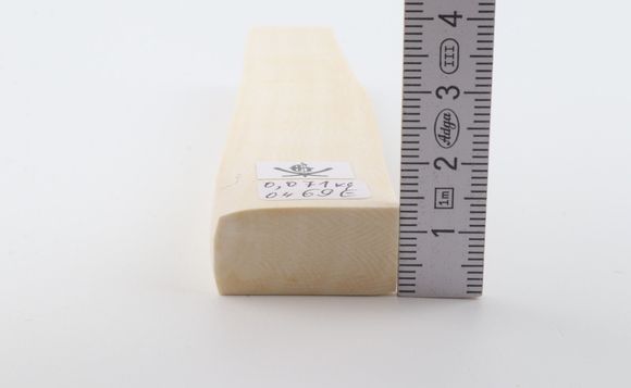 White mammoth ivory segment