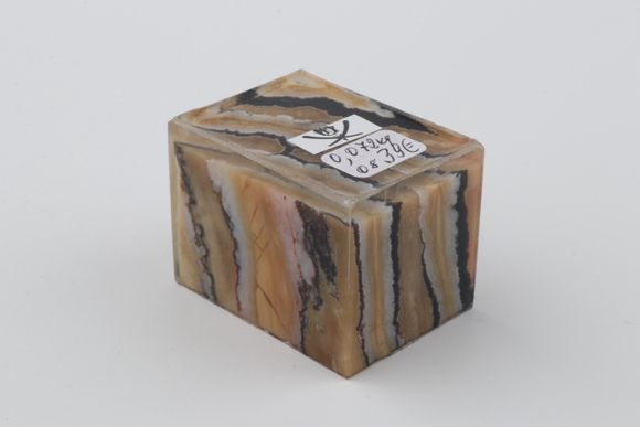 Stabilized mammoth molar piece