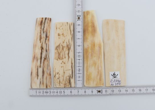 Natural mammoth bark pieces