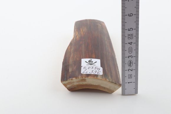 Brown mammoth bark
