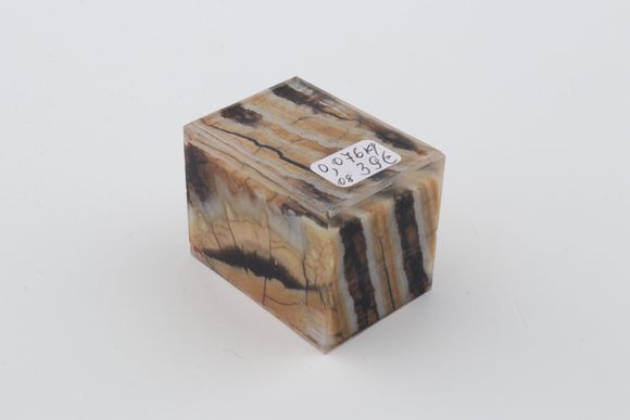 Stabilized mammoth molar piece