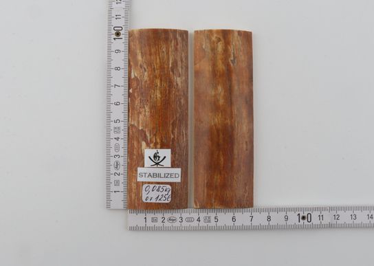 Stabilised mammoth bark scales