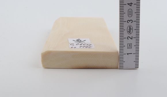 White mammoth ivory segment