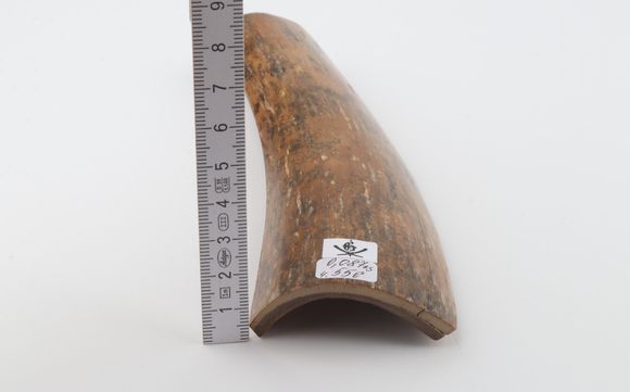Brown-caramel mammoth bark