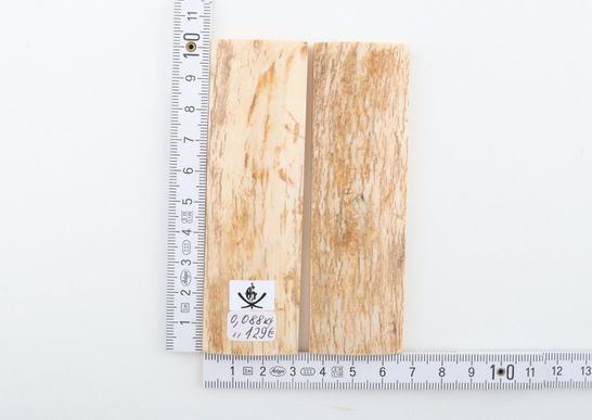 Natural mammoth bark scales