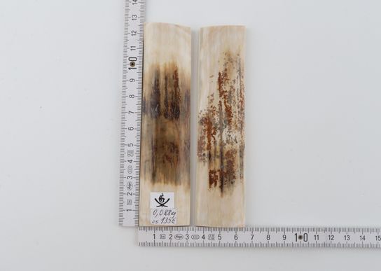 Natural mammoth bark scales
