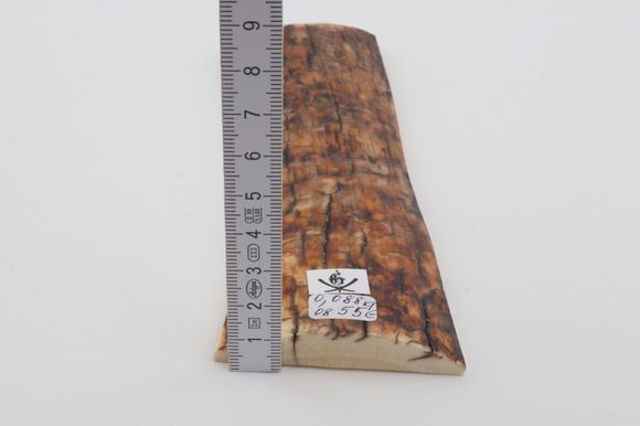 Brown-orange mammoth bark