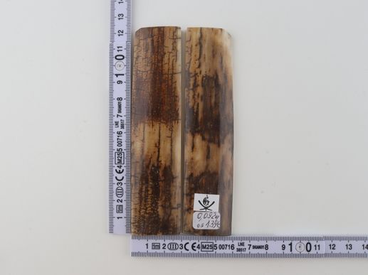 Natural mammoth bark scales