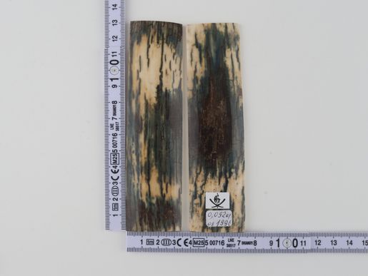 Natural mammoth bark scales