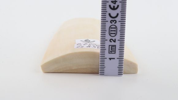 White mammoth ivory piece