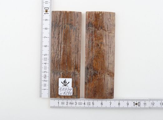 Natural mammoth bark scales