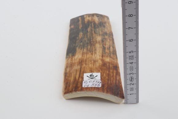 Natural woolly mammoth bark