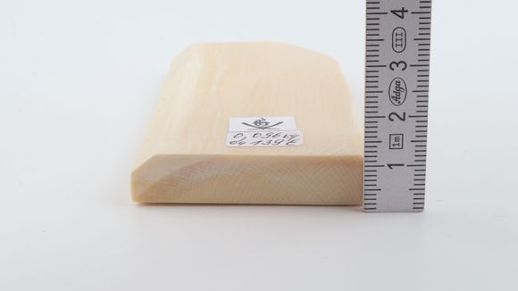 White mammoth ivory segment