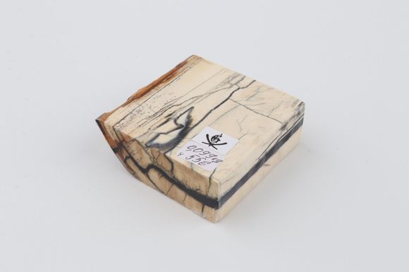 Stabilised mammoth ivory piece