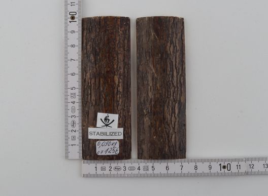 Stabilized mammoth bark scales