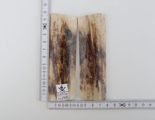 Natural mammoth bark scales