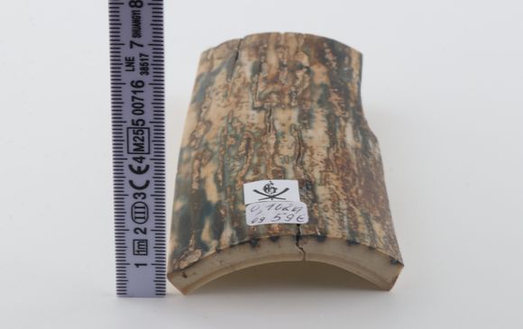 Natural mammoth bark