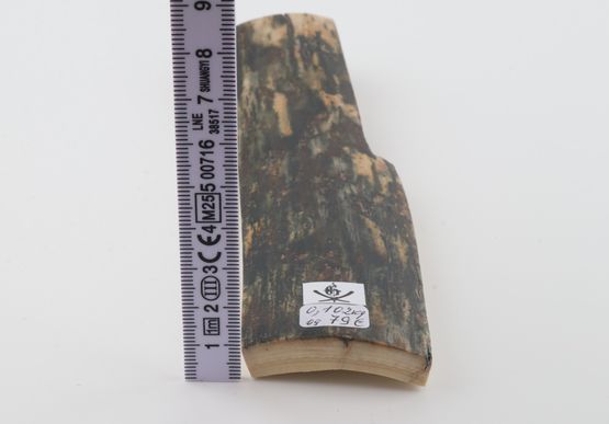 Green-blue mammoth bark