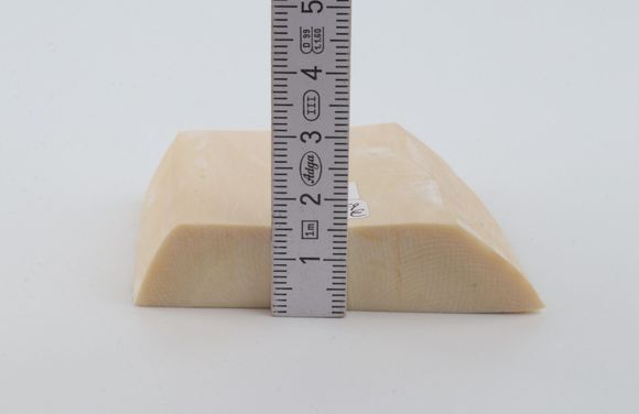 White mammoth ivory segment