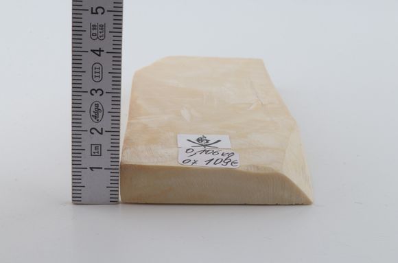 White mammoth ivory segment