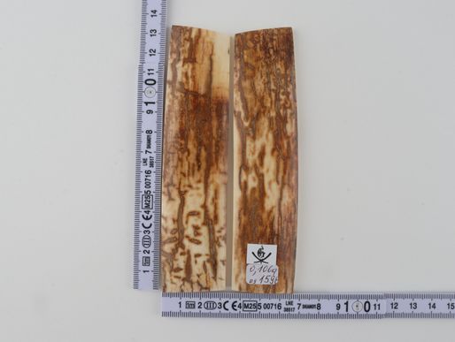 Natural mammoth bark scales