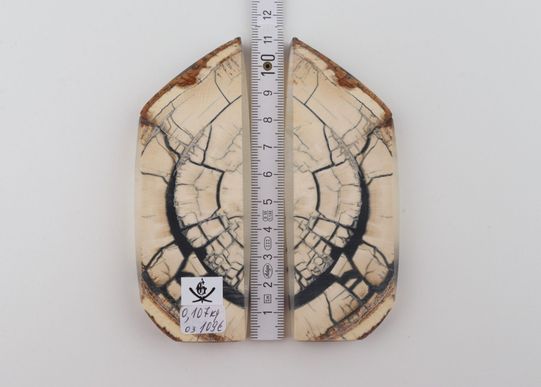 Stabilised mammoth ivory scales