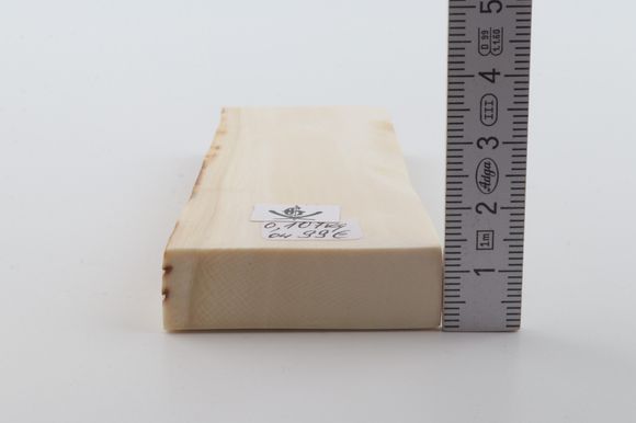 White mammoth ivory segment
