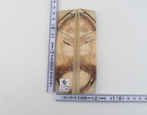 Stabilized mammoth ivory scales