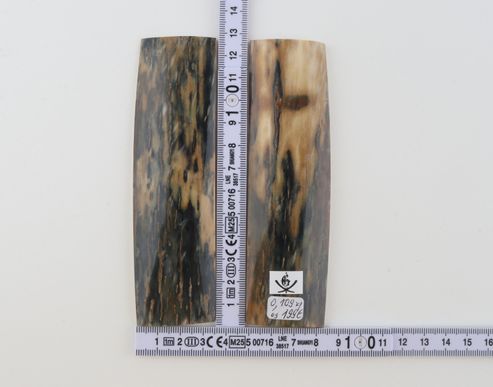 Natural mammoth bark scales