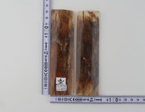 Natural mammoth bark scales
